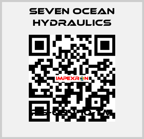 PS-02-1-10-TM Seven Ocean Hydraulics