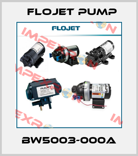 BW5003-000A Flojet Pump