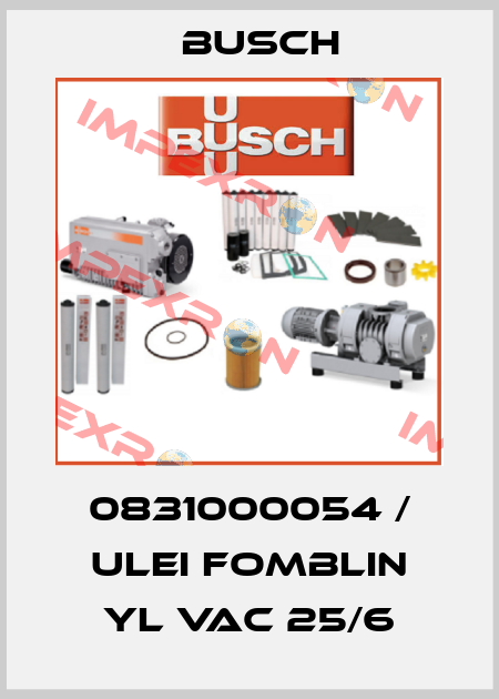 0831000054 / ULEI FOMBLIN YL VAC 25/6 Busch
