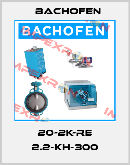 20-2K-RE 2.2-KH-300 Bachofen