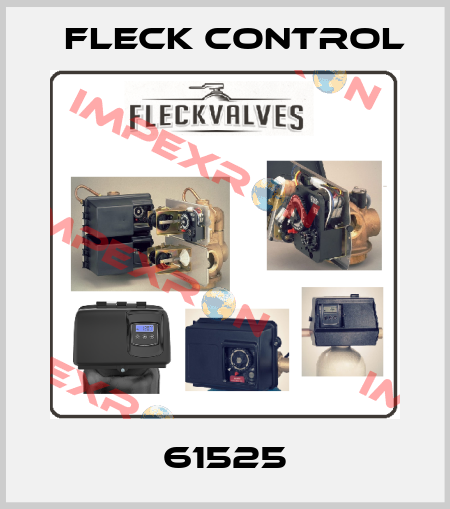 61525 Fleck Control