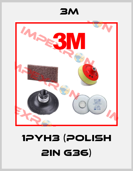 1PYH3 (Polish 2in G36) 3M