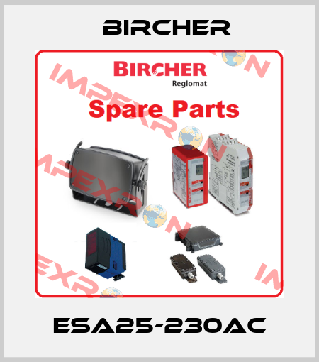 ESA25-230AC Bircher