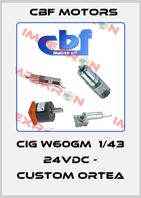 CIG W60GM  1/43 24VDC - CUSTOM ORTEA Cbf Motors