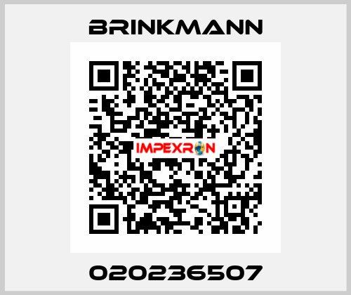 020236507 Brinkmann