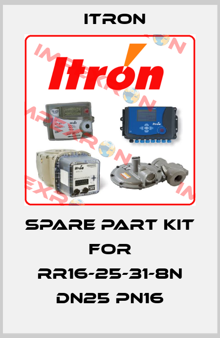 spare part kit for RR16-25-31-8N DN25 PN16 Itron