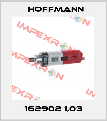 162902 1,03 Hoffmann