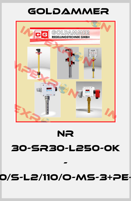 NR 30-SR30-L250-0K - L1/160/S-L2/110/O-MS-3+PE-24V Goldammer