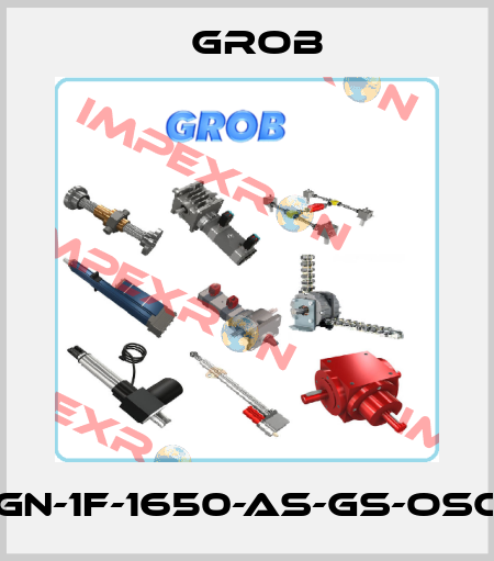 MJ4-GN-1F-1650-AS-GS-oSch-VA Grob