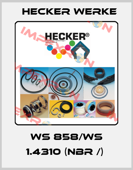WS 858/WS 1.4310 (NBR /)  Hecker Werke