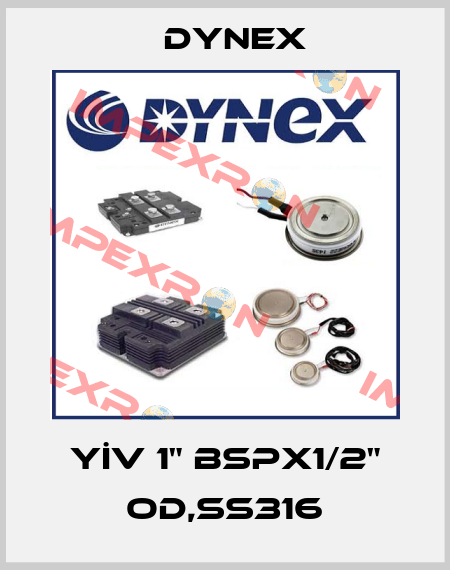 YİV 1" BSPx1/2" OD,SS316 Dynex