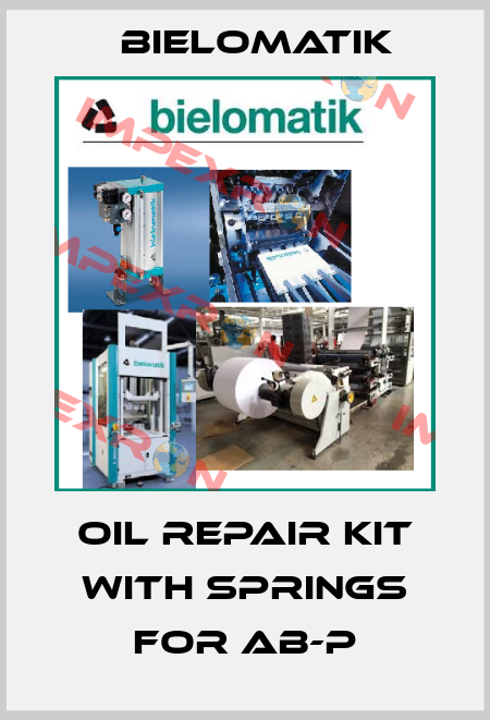oil repair kit with springs for AB-P Bielomatik
