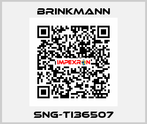 SNG-TI36507 Brinkmann