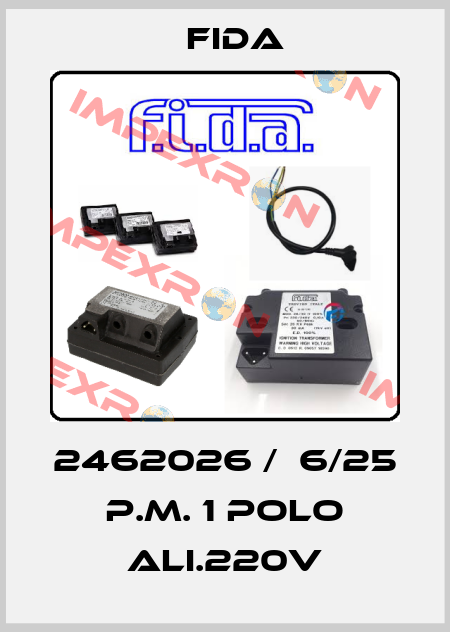 2462026 /  6/25 P.M. 1 POLO ALI.220V Fida