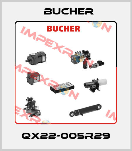 QX22-005R29 Bucher