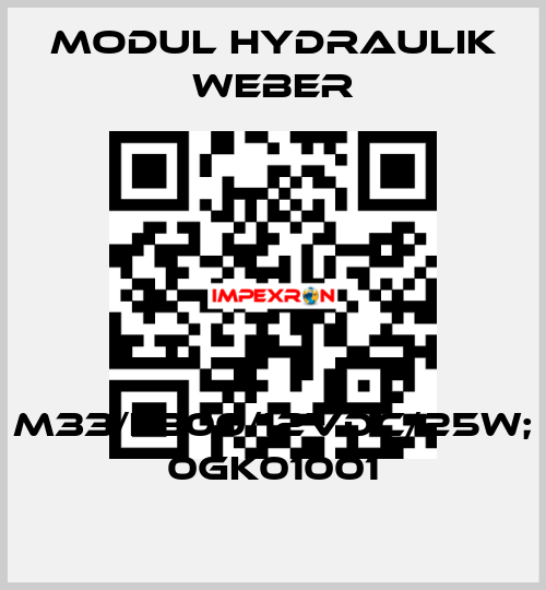 M33/L300/12VDC/25W; 0GK01001 MODUL HYDRAULIK WEBER