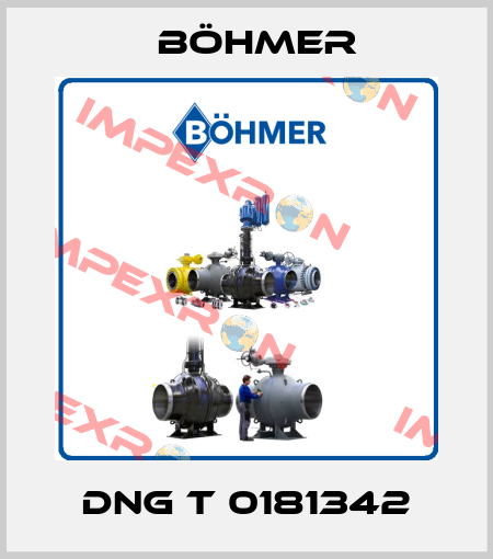 DNG T 0181342 Böhmer