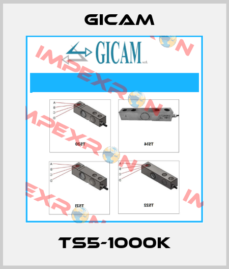 TS5-1000K Gicam