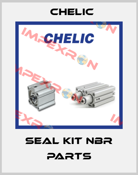 SEAL KIT NBR PARTS Chelic