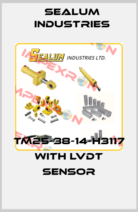 TM25-38-14-H3117 with LVDT sensor SEALUM INDUSTRIES