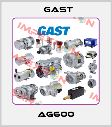 AG600 Gast