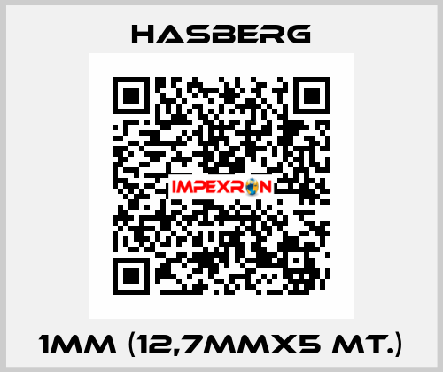 1MM (12,7MMX5 MT.) Hasberg