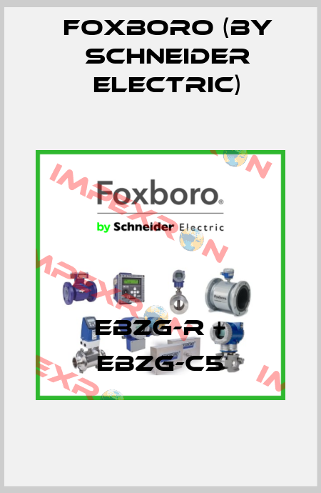 EBZG-R + EBZG-C5 Foxboro (by Schneider Electric)