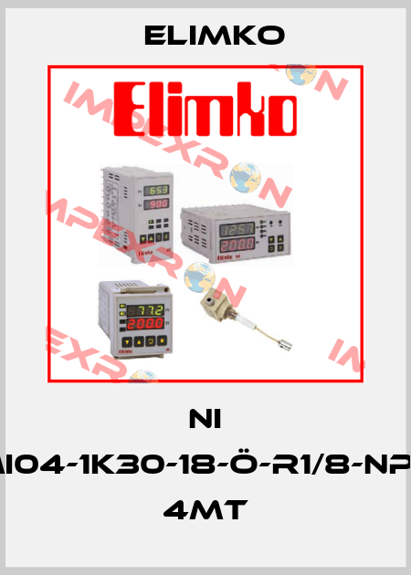 NI E-MI04-1K30-18-Ö-R1/8-NPT-S 4MT Elimko
