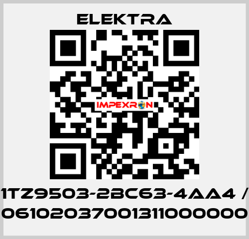 1TZ9503-2BC63-4AA4 / 06102037001311000000 ELEKTRA