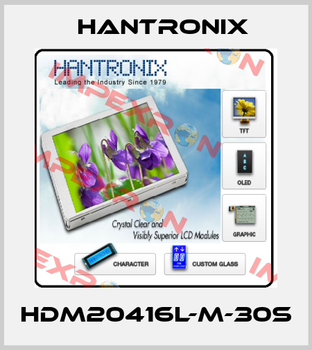 HDM20416L-M-30S Hantronix
