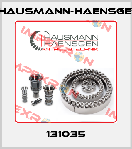 131035 Hausmann-Haensgen