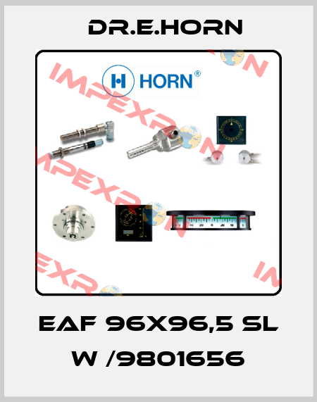 EAF 96X96,5 sl W /9801656 Dr.E.Horn
