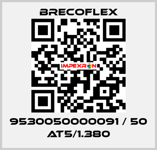 9530050000091 / 50 AT5/1.380 Brecoflex