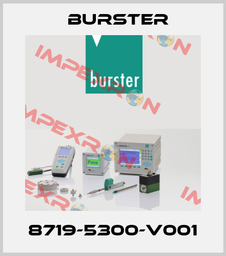 8719-5300-V001 Burster