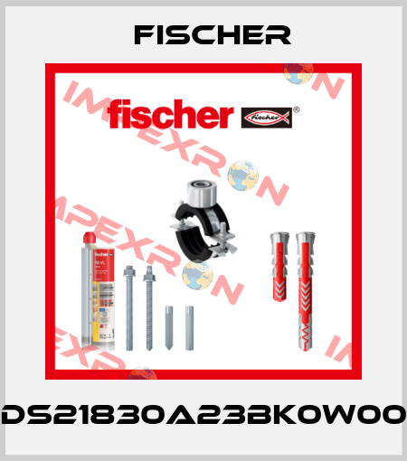 DS21830A23BK0W00 Fischer