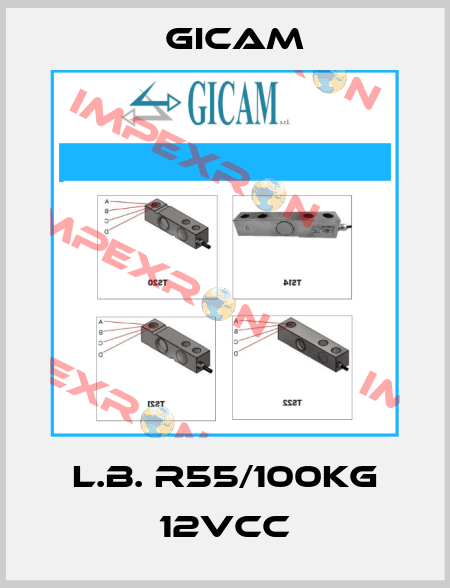 L.B. R55/100Kg 12VCC Gicam