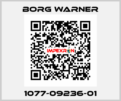 1077-09236-01 Borg Warner