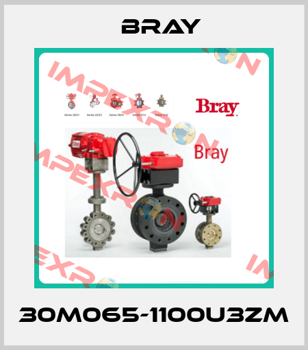 30M065-1100U3ZM Bray