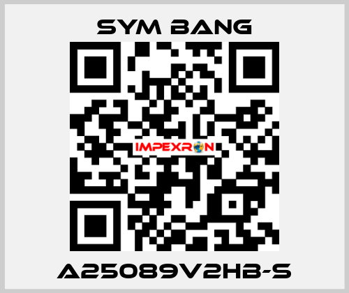 A25089V2HB-S SYM BANG