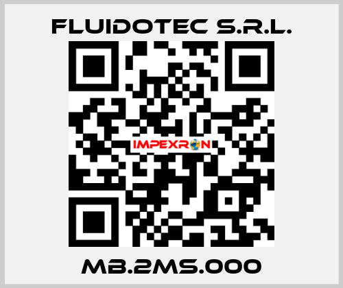 MB.2MS.000 FLUIDOTEC S.r.l.