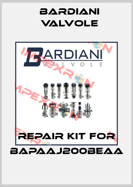 Repair kit for BAPAAJ200BEAA Bardiani Valvole