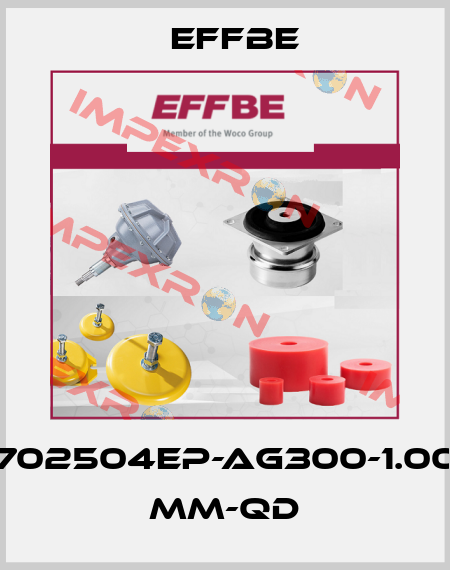 702504EP-Ag300-1.00 mm-QD Effbe