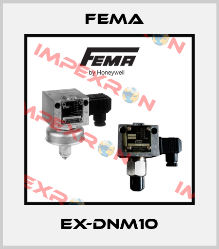 EX-DNM10 FEMA