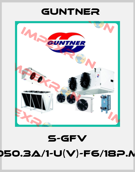 S-GFV 050.3A/1-U(V)-F6/18P.M Guntner