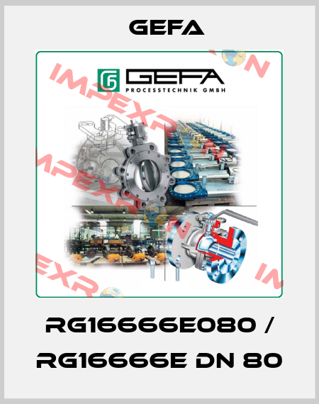 RG16666E080 / RG16666E DN 80 Gefa