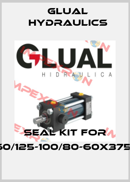 Seal kit for 160/125-100/80-60x3759 Glual Hydraulics
