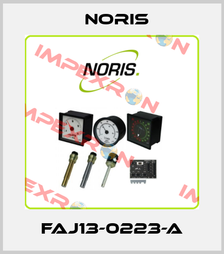 FAJ13-0223-A Noris