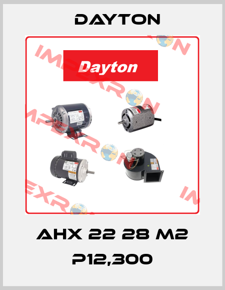 AHX 22 28 M2 P12.30 DAYTON