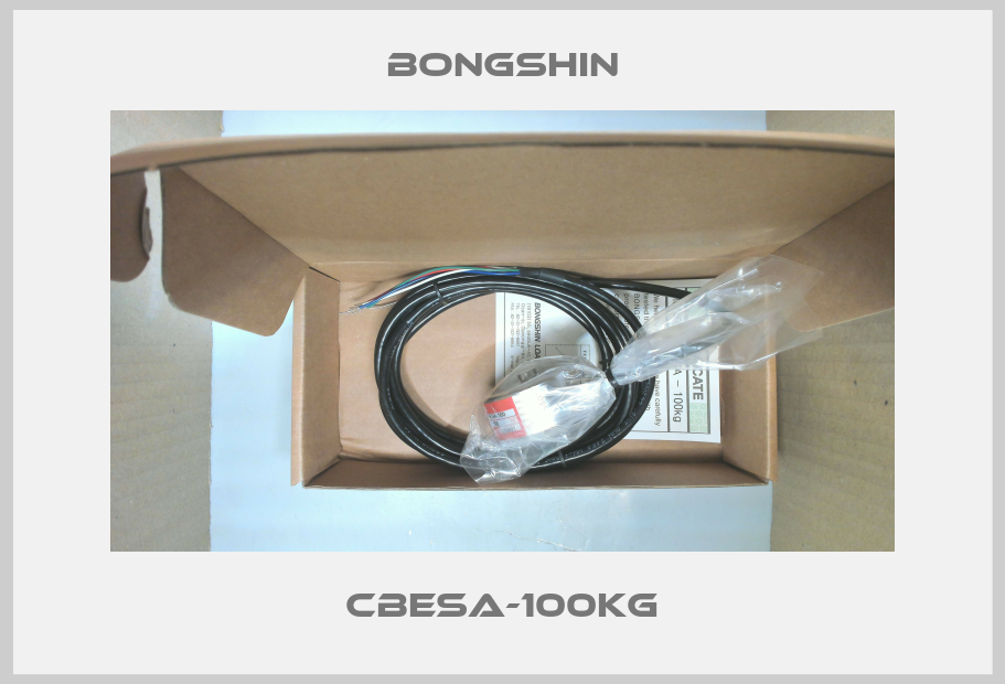 CBESA-100kg Bongshin