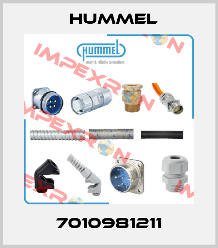 7010981211 Hummel
